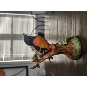 Baltimore Oriole by Stefani